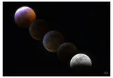 Lunar Eclipse Poster