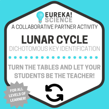 Preview of Lunar Phases Identification - Dichotomous Key Activity (Lunar Cycle)