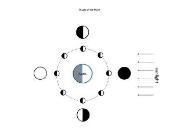 Lunar Phases SUPPLEMENTAL AID by The Science Coach | TpT