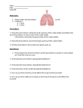 Preview of Lung Lab