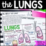 Lungs | Respiration | Human Body