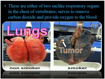 Preview of Lungs, Respiratory System PowerPoint Quiz Game