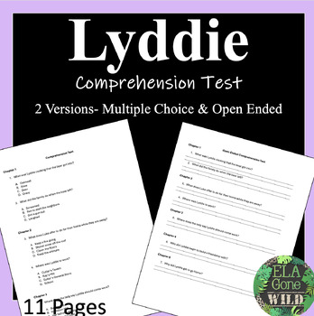 Preview of Lyddie Novel Study Unit Comprehension Test