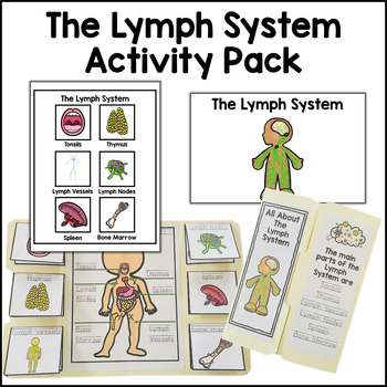 Preview of Lymph System Activity Bundle Human Body Human Body Systems Anatomy