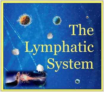 Preview of Lymphatic System