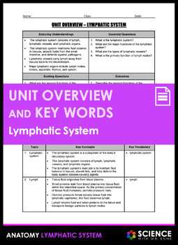 Preview of Lymphatic System Anatomy Unit Overview and Vocabulary Key Words