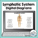 Lymphatic System Diagrams for Distance Learning