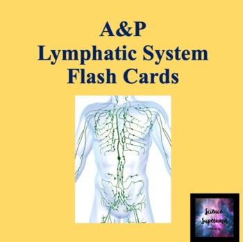 Preview of Lymphatic System Flash Cards