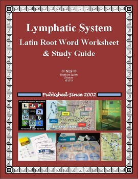 Preview of Lymphatic System Latin Root Word Worksheet & Study Guide