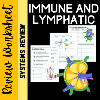 Preview of Lymphatic and Immune System Review Worksheet