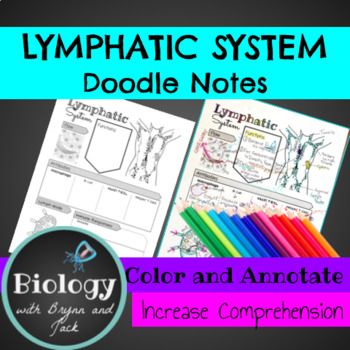 Preview of Lymphatic System Sketch Notes