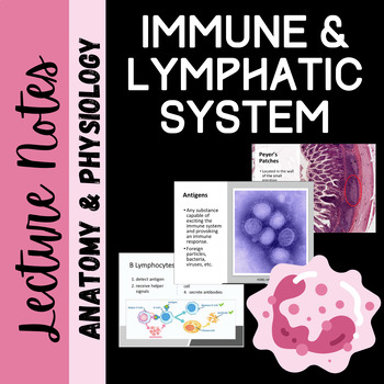 Preview of Immune and Lymphatic System Unit Notes