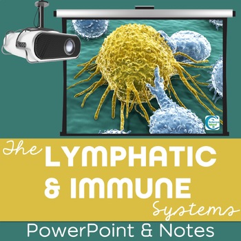 Preview of Lymphatic and Immune Systems PowerPoint and Notes