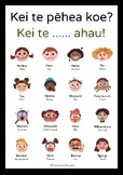 Māori feelings poster! Great start of the day resource...FREE!