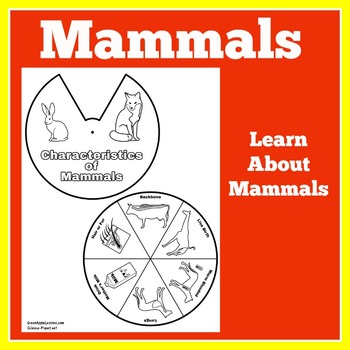 MAMMAL MAMMALS | Worksheet Craft Activity Kindergarten 1st 2nd 3rd