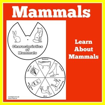 mammal characteristics worksheets