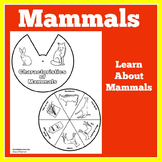 MAMMAL MAMMALS Worksheet Craft Activity Kindergarten 1st 2
