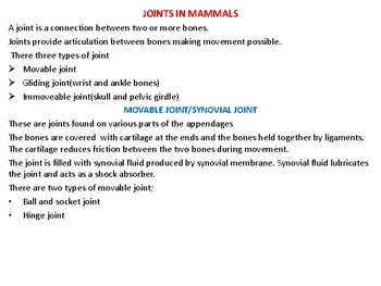 Preview of MAMMALIAN JOINTS