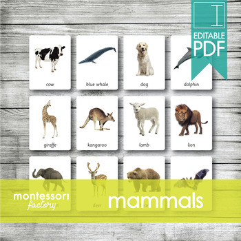 Preview of MAMMALS ANIMALS • Montessori Cards • Flash Cards • Three Part Cards