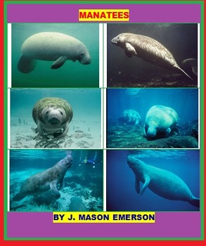 Preview of MANATEES (CLIPART, FUN, SCIENCE AND READING, TEST, 25 PAGES)