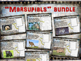 MARSUPIALS BUNDLE: 7 visually engaging PPT w facts, video 