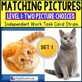 Preview of MATCHING IDENTICAL PICTURES Task Cards for Autism TASK BOX FILLER® SET 1