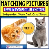 MATCHING IDENTICAL PICTURES Task Cards for Autism TASK BOX
