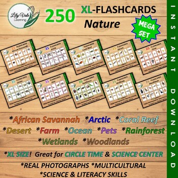 Preview of MEGA ANIMAL FLASHCARD BUNDLE-250 CARDS-X-Large!