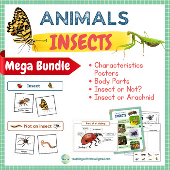 Preview of MEGA BUNDLE Insects: Characteristics, Body Parts, Sorting Cards & Worksheets