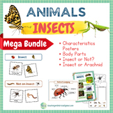 MEGA BUNDLE Insects: Characteristics, Body Parts, Sorting 