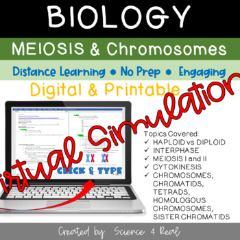 Preview of MEIOSIS and CHROMOSOMES Virtual SIMULATION (Digital/Printable)