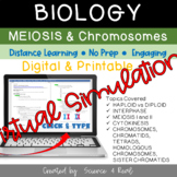 MEIOSIS and CHROMOSOMES Virtual SIMULATION (Digital/Printable)