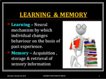 Preview of MEMORY AND LEARNING
