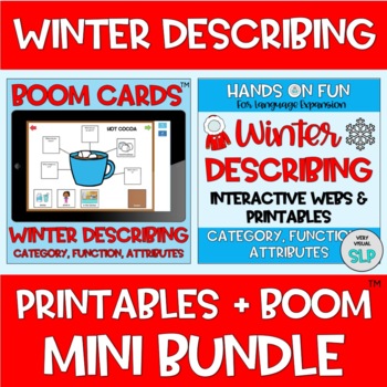 Preview of MINI BUNDLE Winter Describing Webs Category Function BOOM Cards™️ + Printables