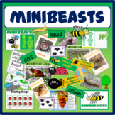 MINIBEASTS INSECTS SCIENCE RESOURCES EARLY YEARS KS1-2 DIS