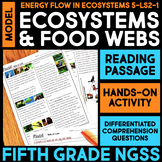 MODEL Food Webs - Ecosystem - Web of Life Science Station 