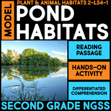 MODEL Pond Habitat Plants and Animals and Food Web 2nd Gra