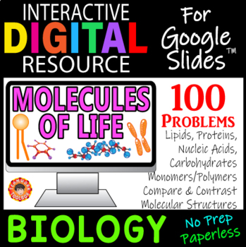Preview of MOLECULES OF LIFE ~BIOLOGY & ANATOMY~ Digital Resource for Google Slides