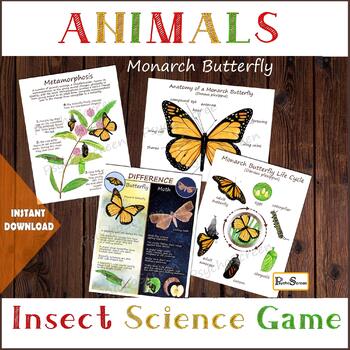 Preview of MONARCH BUTTERFLY Unit Study • MEGA Printable butterfly - anatomy, life cycle...