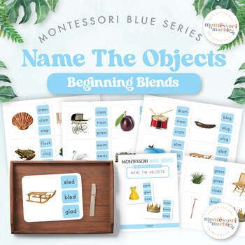 Preview of MONTESSORI BLUE SERIES Beginning Blends | Naming The Objects Clip Cards