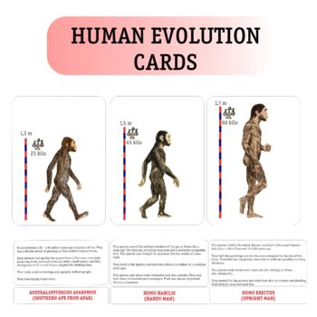Preview of MONTESSORI GREAT STORY of PEOPLE. Early man (hominids) cards