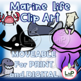 MOVEABLE Marine Life Classroom Theme Clip Art for Digital,
