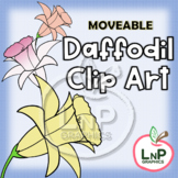 MOVEABLE Spring Daffodil Flowers Clip Art for Digital Prod