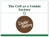 MS-LS1-2: The cell as a cookie factory activity. Cell orga