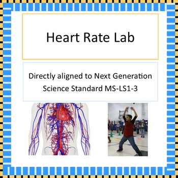 Preview of MS-LS1-3 Heart Rate Lab
