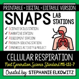 MS-LS1-7 Cellular Respiration Lab Activity | Printable, Di