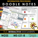 MS LS1-8 Information Processing Doodle Notes (plus interactive)