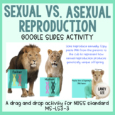 Sexual vs. Asexual Modeling Activity MS-LS3-2