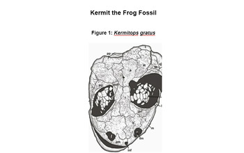 Preview of MS-LS4-1 and MS-LS4-2 Kermit the Frog Fossil