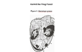 MS-LS4-1 and MS-LS4-2 Kermit the Frog Fossil